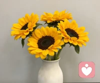 独处与情绪
独处是情绪的温柔渡口，让我们暂别外界的纷扰与喧嚣，与自己的内心坦诚相对。在这里，不必强撑笑意，无需迎合他人，只需静静觉察每一丝情绪的起伏，接纳那些不安、烦躁或低落，像梳理一缕纷乱的发丝，轻轻拨开情绪的迷雾，看见心底真实的需求。这份独处从不是孤独的逃避，而是给心灵留白的修行，让躁动的情绪慢慢沉淀，让疲惫的自己得以安放，在与自我的温柔联结里，积攒起自愈的力量，终让内心回归平和与笃定❤