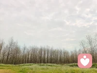 从容与通透
世间万般纷扰，目之所及皆是繁乱，心却自有丘壑与定序。不慌不忙，不疾不徐，于千头万绪中辨清脉络，于混沌琐碎里守稳步调，这种乱而不乱，是历经世事的通透，亦是内心自洽的从容。与君共勉💞