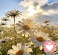 .❤心有猛虎，细嗅蔷薇

藏锋芒于胸，凝温柔于眸

能仗剑踏浪，亦能折花赏秋

敢放声痛哭，也懂轻扬眉头

可怀千重丘壑，仍守一念纯粹

动如惊雷破阵，静若清风拂洲

刚柔并济，冷暖皆受

这便是生命丰盈的模样，圆满的状态👍

亲爱的朋友，共勉💞