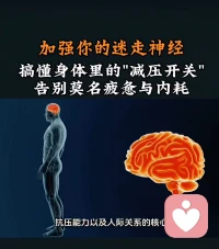 为什么有的人遇到挫折能迅速恢复，有的人却长期陷入内耗？这不关乎意志力，而是你的“迷走神经”在起作用。停止用大脑去对抗情绪，掌握基于生理学的减压法，加强你的迷走神经，让你的身体重回松弛感。
如果你有此困惑想改变欢迎你来倾诉帮助到你🌹配图