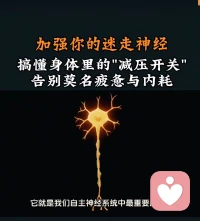 为什么有的人遇到挫折能迅速恢复，有的人却长期陷入内耗？这不关乎意志力，而是你的“迷走神经”在起作用。停止用大脑去对抗情绪，掌握基于生理学的减压法，加强你的迷走神经，让你的身体重回松弛感。
如果你有此困惑想改变欢迎你来倾诉帮助到你🌹配图