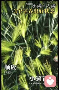 身安有度，心满有余👍