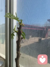 天气不错，新的开始，新的希望配图