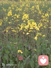 亲近大自然配图