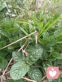 亲近大自然配图