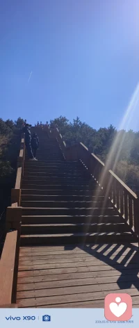 本人愿意陪你聊天配图