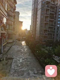 斑驳凌乱的物体，也挡不住温暖的阳光，从每个缝隙里照进来，我的身体也开始变得暖洋洋的啦配图