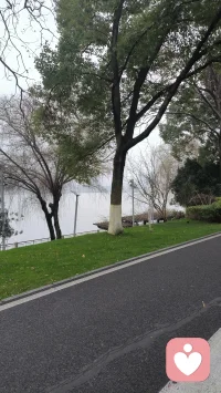 行为引导行为，行为改变行为配图