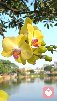 拿得定，见得透，事无不成，早晨`，老己!配图