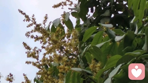 你愿意效法哪一种？