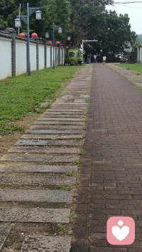 看上去一成不变的问题，是在行为中被维持的。