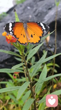 开始美好的一天