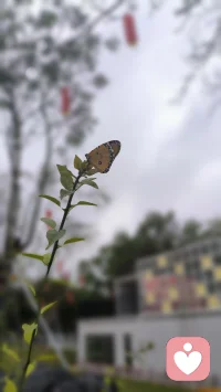 什么东西都是旧的习惯了新的钻不进去，因为旧的把新的压住了