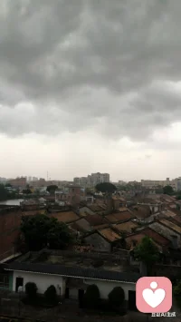 暴风雨来临前的宁静配图