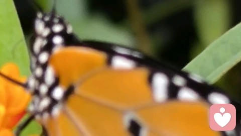 接纳的下一步是什么？