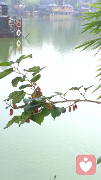 我们讨论问题，
应当从实际出发，
不是从定义出发。
《毛泽东选集》
第2版第3卷第853页