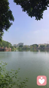像飞机飞上天总得飞回来要落在一个地方，
不能到处飞不落地。
教条主义是不落地的，
它是挂在空中的。
      《毛泽东文集》
      第3卷第150页