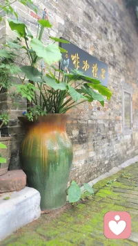 虽然理想一定要有，
但是还要结合一个东西，
叫做现实。
毛《泽东文集》
第3卷第361页