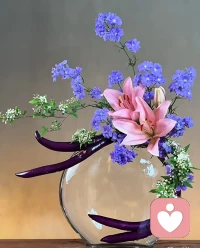 茄子的艺术感绝了配图