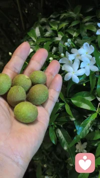 想拉开距离
① 先完成再完美：粗糙启动，边做边优化，行动胜过空想
② 与谁同行：选择滋养型伙伴，环境影响力远超个人意志
③ 重复造就卓越：简单事重复做成专家，用心重复成就赢家
④ 自我定义：不被外界评价束缚，突破认知天花板