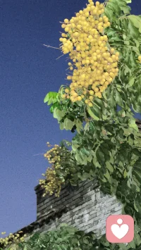 散步回到楼下，邻居家的小宝宝哭得好厉害，
看见我就伸手要我抱，我把手机放进裤袋后抱起他，不到三分钟，他居然入睡了，这算不算做了一件好事来帮助别人？