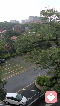 雨后的窗外格外清新，坐在窗前，开始了每天的必须课，早安配图