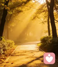 情绪来了不用急着对抗，
允许自己难过、焦虑、不安，
也允许自己慢慢平复、慢慢释怀。
你已经很努力了，
先照顾好自己的心，
一切都会慢慢好起来的。