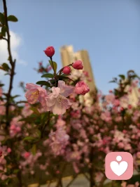 不管你有多么的忙，多么的累
在这个城市的某一个角落
总有一个我等待着和你聊天配图