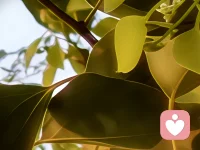 周一来了
你还好吗
有什么想说的吗
可以告诉我吗配图