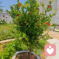 教肓的核心，不是让孩子感觉他很好，而是让孩子感觉，妈妈很好，鼓励，夸奖，支持等，只是教育的表层，把自己变成一个丰富的生态化的新生命配图