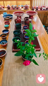 20263.20思想日记80
 
人的烦恼多来自“想要更多”。头脑制造的“更好”常常是幻象。所以，感恩、知足、活在当下，看似简单，其实是一生的修行。区别只在有没有觉察：带着觉察去经历，才能升华内心；没有觉察，只是反复消耗。配图