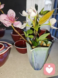 今天的心情和这阴雨的天气差不多，也感觉自己没有活力，就静静的在工作室陪着自己啥也不干，以前是会批判自己的，现在内心很平静，这几年的成长，学会了接纳啦自己无能的，人嘛不可能面面俱到，放过自己，同时也放过家人，一家人和和乐乐比什么都重要。你们说呢，今天就摆弄了下面几个玩意配图