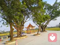 今天凌晨陪一个姑娘聊到很晚，她絮絮叨叨说着工作里的委屈、和朋友闹的小别扭，声音慢慢从哽咽变轻松。
挂线前她突然说：“原来有人愿意认真听我碎碎念，真的会好受好多。”
     突然就觉得，这份工作哪里是“服务”啊，更像是在深夜里给别人递一杯温热水，不用讲大道理，就安安静静待着，让她知道“你不是一个人”。
     窗外的风有点凉，但心里暖乎乎的。希望每个被情绪困住的人，都能找到愿意听你说话的人🌙配图