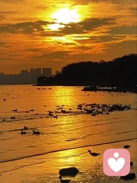 遇到任何事都别动气，生气其实是在伤害自己。管他谁对谁错，谁付出谁计较，谁胜谁负，其实都不值一提。唯有你的身心健康，才是天大的事。当你真的放下了对对错输赢的执念，心顺了，万事也就顺了。配图