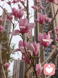 出去晒晒太阳吧，天空很蓝，阳光很暖……配图