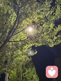 黑夜里的光，配图