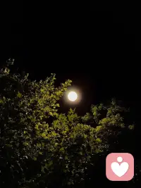 黑夜里的光，配图