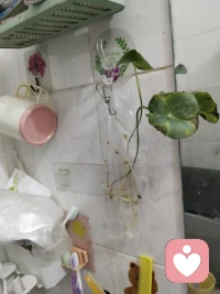 我是家庭教育指导师，欢迎大家咨询家庭问题，夫妻关系问题，子女教育问题，婆媳关系问题等等。