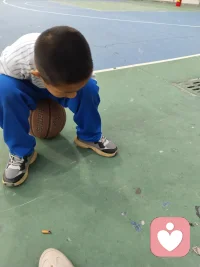 让孩做他喜欢的事情，什么问题都解决了。看蚂蚁🐜搬家是孩子最大的兴趣，也培养孩子专注力的好方法。配图