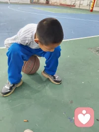 让孩做他喜欢的事情，什么问题都解决了。看蚂蚁🐜搬家是孩子最大的兴趣，也培养孩子专注力的好方法。配图