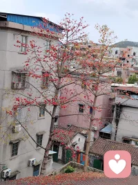 让孩做他喜欢的事情，什么问题都解决了。看蚂蚁🐜搬家是孩子最大的兴趣，也培养孩子专注力的好方法。配图