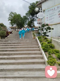 让孩做他喜欢的事情，什么问题都解决了。看蚂蚁🐜搬家是孩子最大的兴趣，也培养孩子专注力的好方法。配图