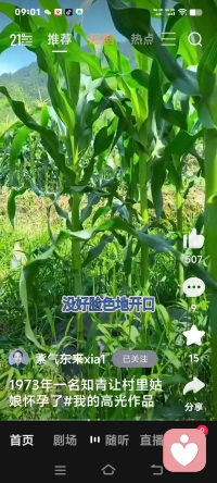 很治愈心灵的图片和故事。配图