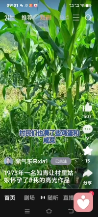 很治愈心灵的图片和故事。配图