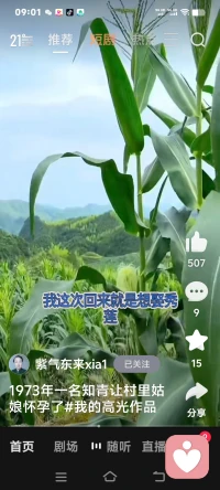 很治愈心灵的图片和故事。配图