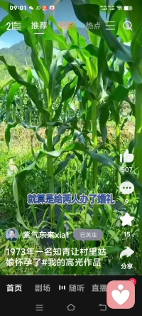 很治愈心灵的图片和故事。配图