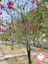 通过这今天的心理倾听者的体验，让我感觉到了林子大了什么鸟都有，但无论如何，任何人都应该给社会提供正能量服务。让社会充满正能量，维护一个社会的基本道德。遵守职业道德。做个充满爱心的人。而不要为了挣钱而挣钱。每个人都有义务让社会风气好起来的责任和义务。配图