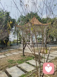 通过这今天的心理倾听者的体验，让我感觉到了林子大了什么鸟都有，但无论如何，任何人都应该给社会提供正能量服务。让社会充满正能量，维护一个社会的基本道德。遵守职业道德。做个充满爱心的人。而不要为了挣钱而挣钱。每个人都有义务让社会风气好起来的责任和义务。配图