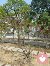 通过这今天的心理倾听者的体验，让我感觉到了林子大了什么鸟都有，但无论如何，任何人都应该给社会提供正能量服务。让社会充满正能量，维护一个社会的基本道德。遵守职业道德。做个充满爱心的人。而不要为了挣钱而挣钱。每个人都有义务让社会风气好起来的责任和义务。配图