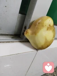 孩子是父母的一面镜子，孩子的问题就是父母的问题的折射。
每天愁眉苦脸的父母孩子能不焦虑抑郁吗？
像我一个切一个马铃薯也能发美，孩子也跟着一起来欣赏这种美，自然孩子也能从生活中发现美好。自然就能阳光。


每天都刻意从生活中找出美感来。这样你才能更开心，才不会烦恼。配图